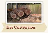 Tree Care Services